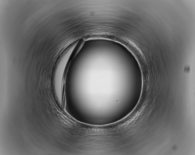 X0000097970777200804071057