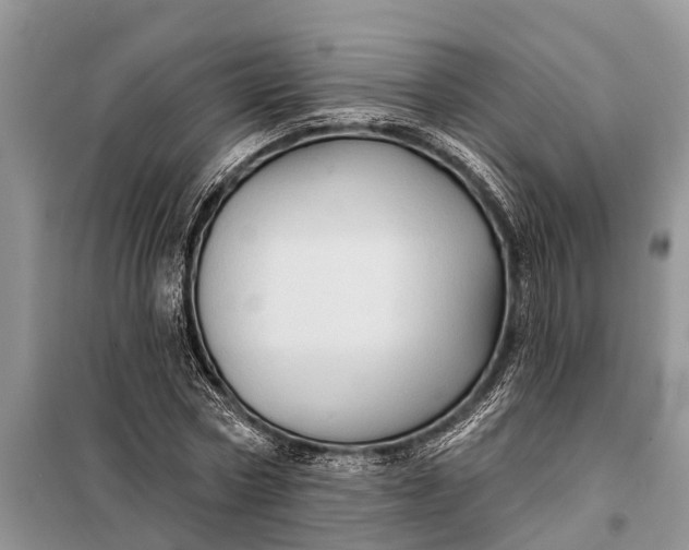 X0000097970778200804071057