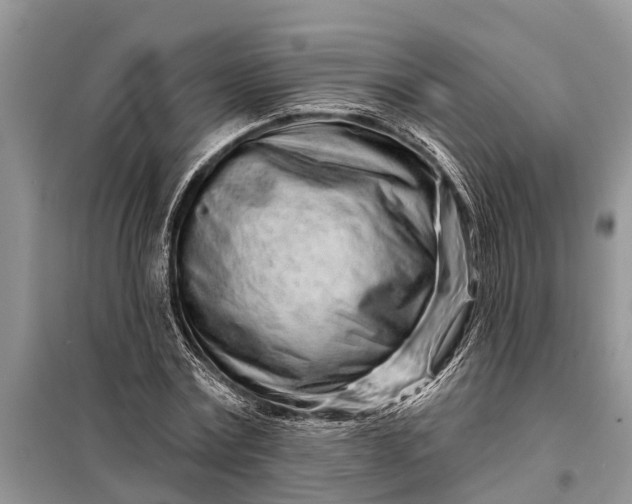 X0000097970779200804071057