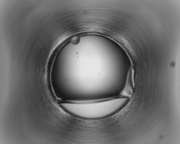 X0000097970780200804071057