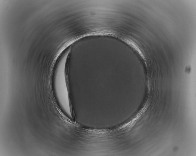 X0000097970781200804071057