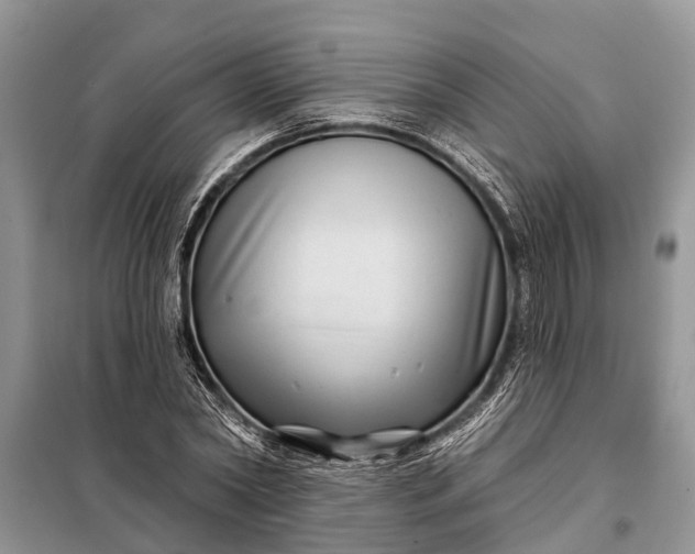 X0000097970782200804071057