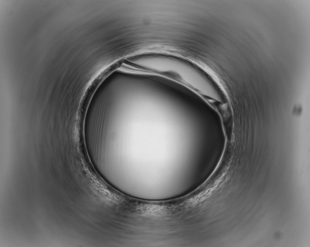 X0000097970783200804071057