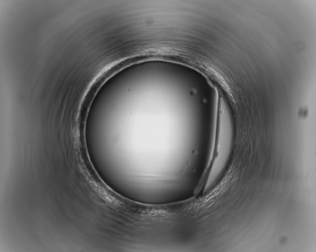 X0000097970784200804071057