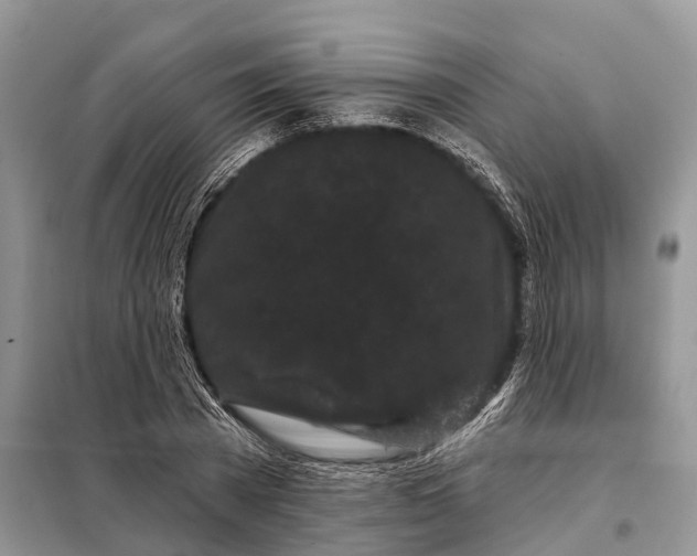 X0000097970785200804071057