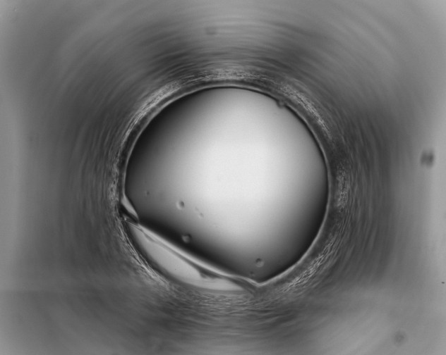 X0000097970786200804071057