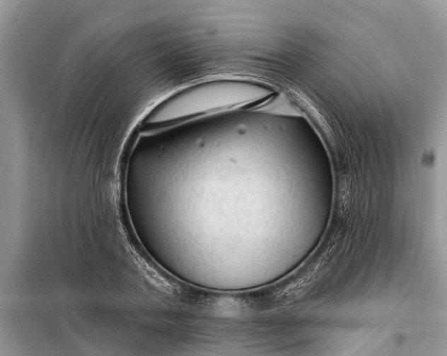 X0000097970787200804071057