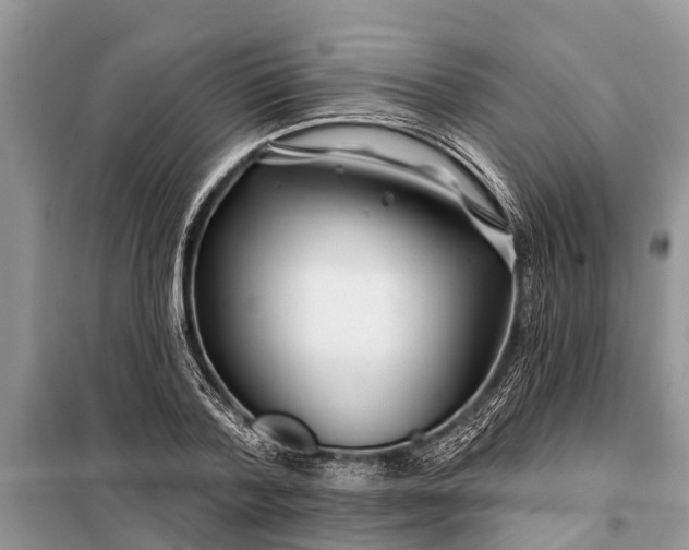 X0000097970788200804071057