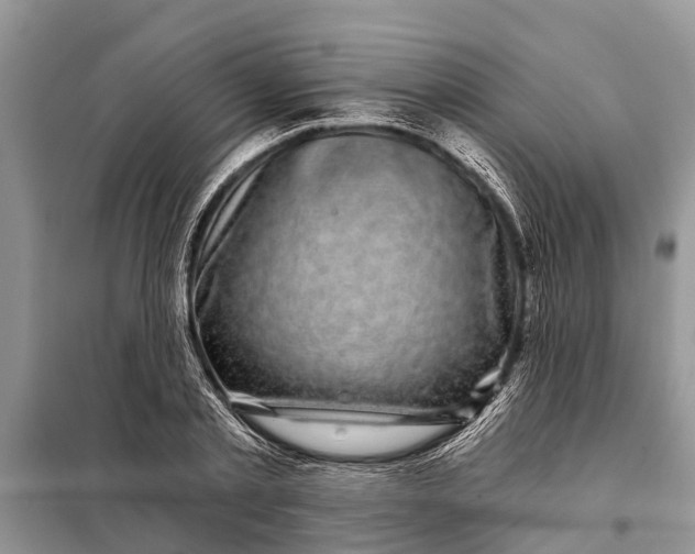 X0000097970789200804071057