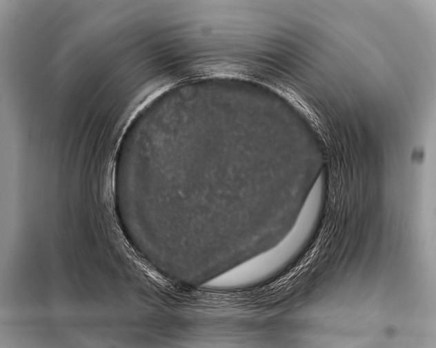 X0000097970790200804071057