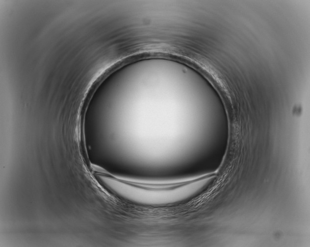 X0000097970791200804071057