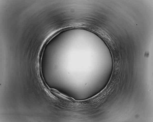 X0000097970792200804071057