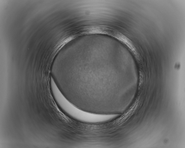 X0000097970793200804071057