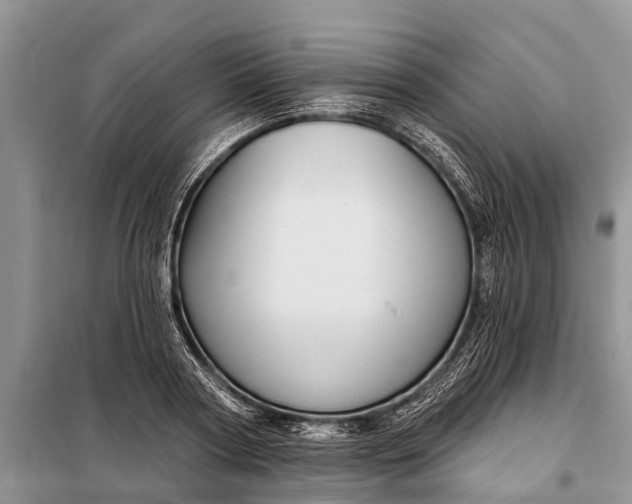 X0000097970794200804071057