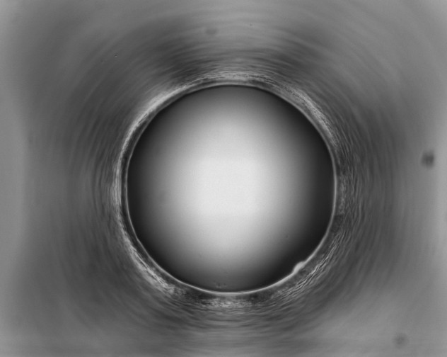 X0000097970795200804071057