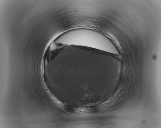 X0000097970796200804071057