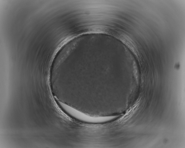 X0000097970797200804071057