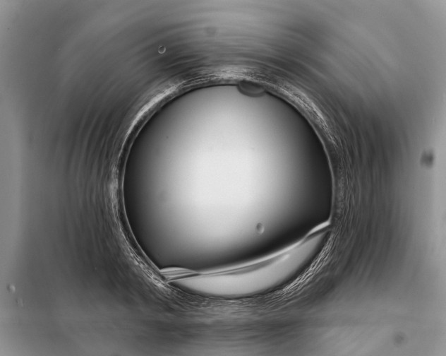 X0000097970798200804071057