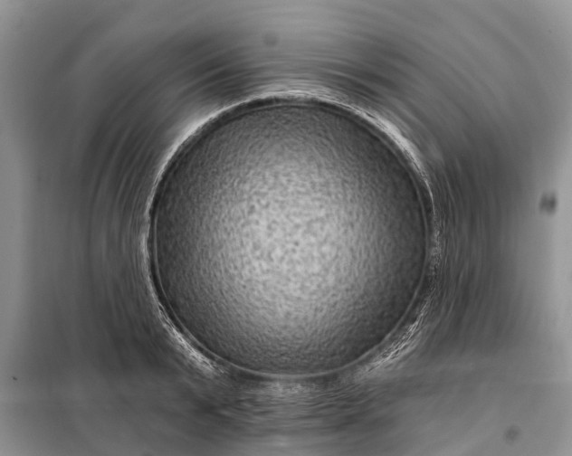 X0000097970799200804071057