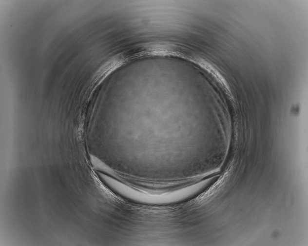 X0000097970801200804071057