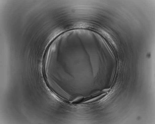 X0000097970802200804071057