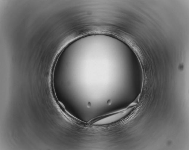 X0000097970803200804071057