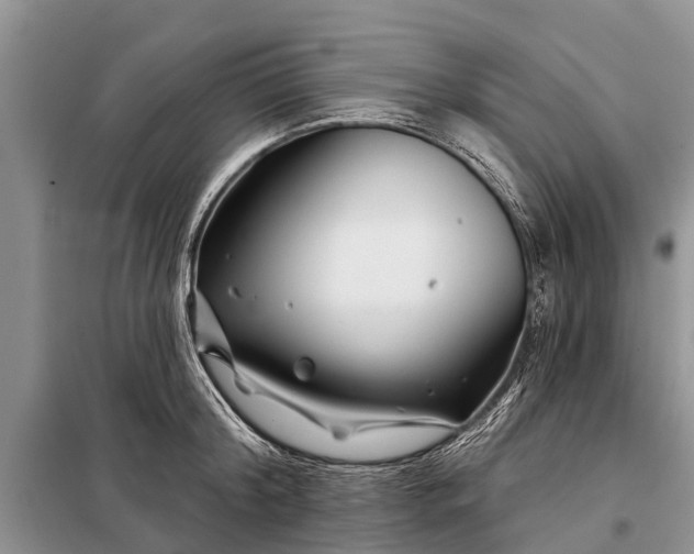 X0000097970804200804071057