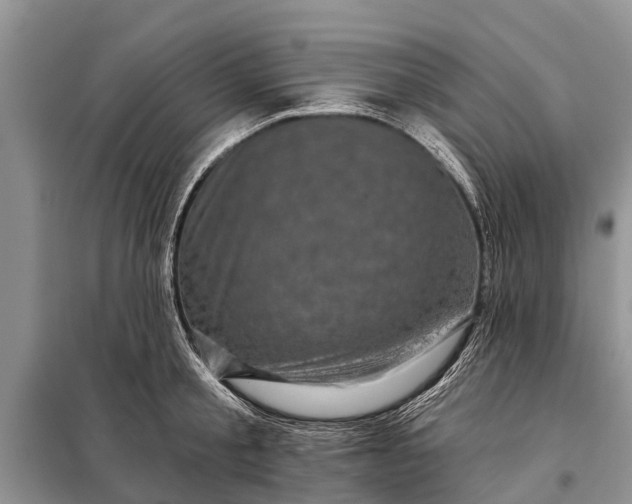 X0000097970805200804071057