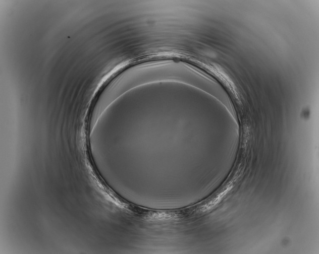 X0000097970806200804071057