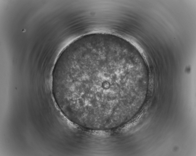 X0000097970807200804071057