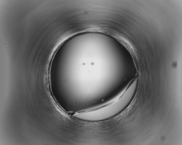 X0000097970808200804071057