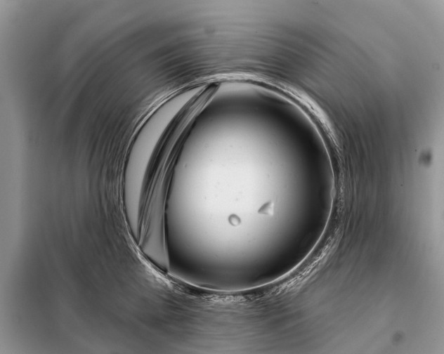 X0000097970809200804071057