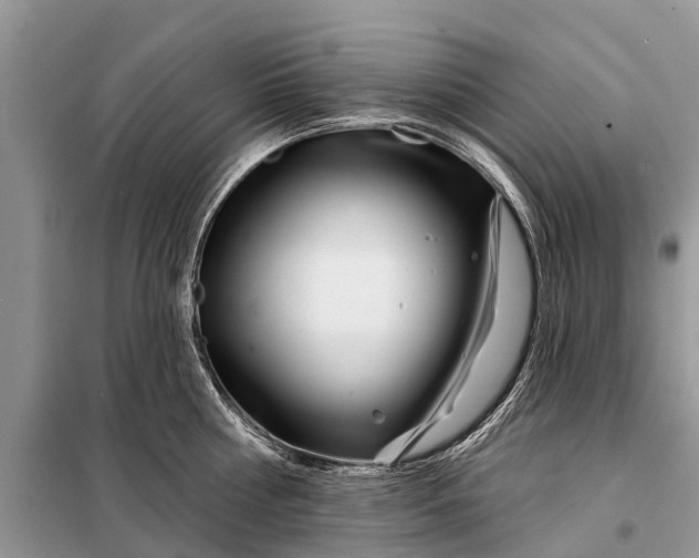 X0000097970810200804071057