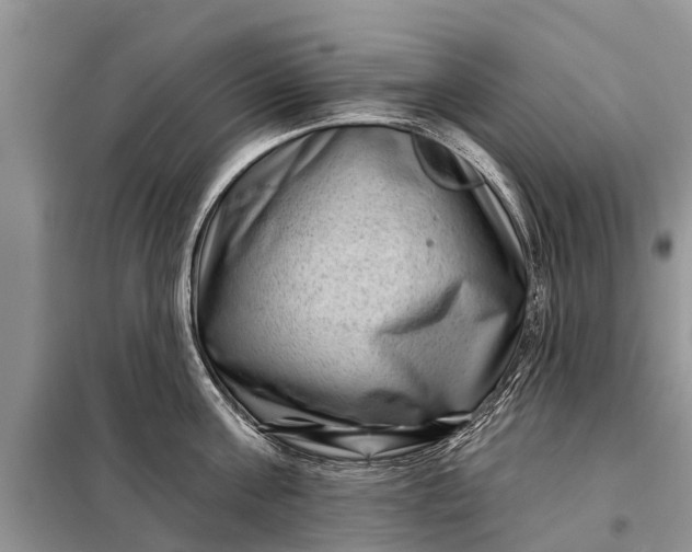 X0000097970811200804071057