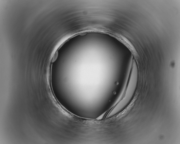 X0000097970812200804071057