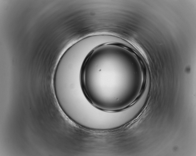 X0000097970813200804071057