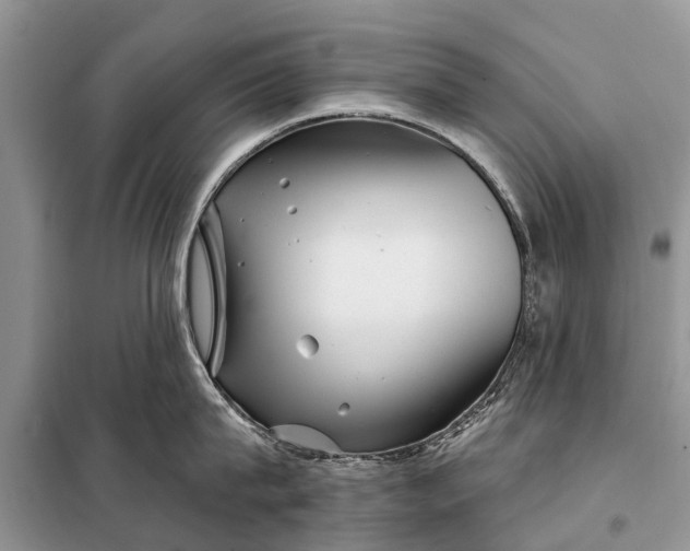 X0000097970815200804071057