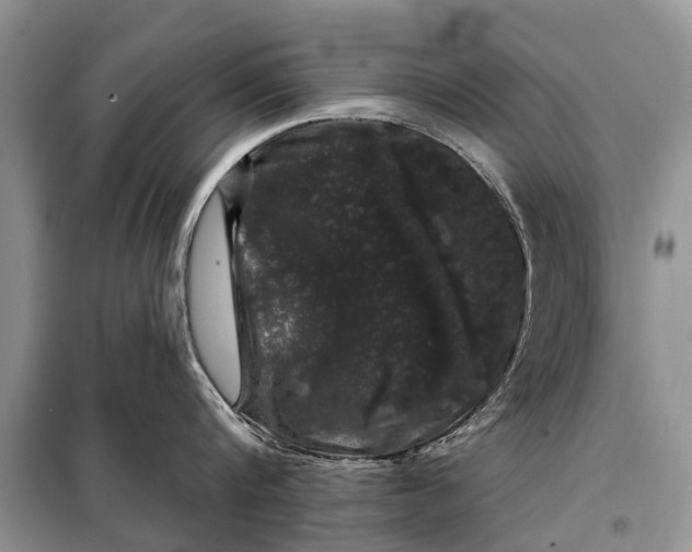 X0000097970816200804071057