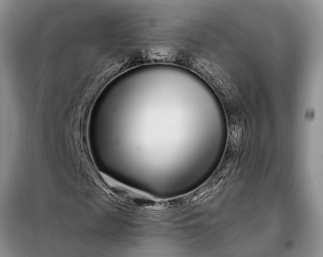 X0000097970817200804071056