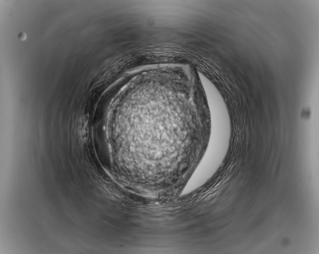 X0000097970818200804071056