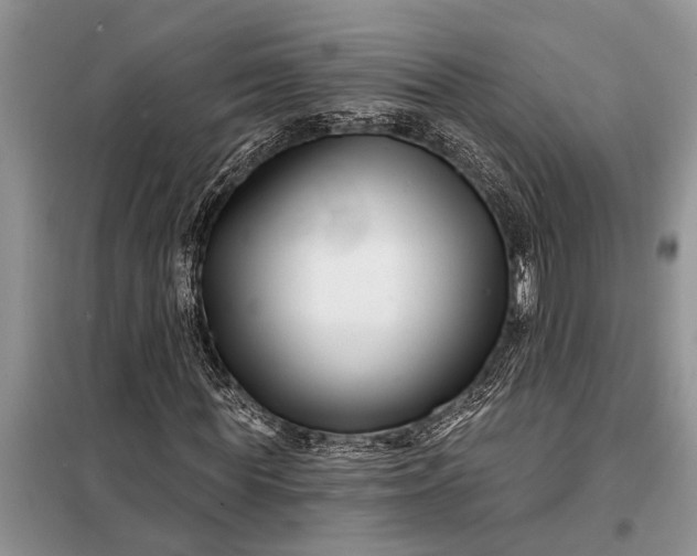 X0000097970819200804071056