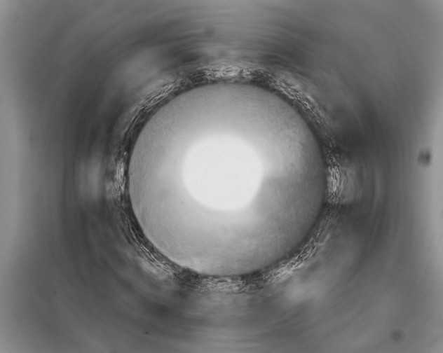 X0000097970820200804071056