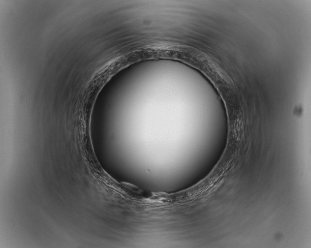 X0000097970821200804071056