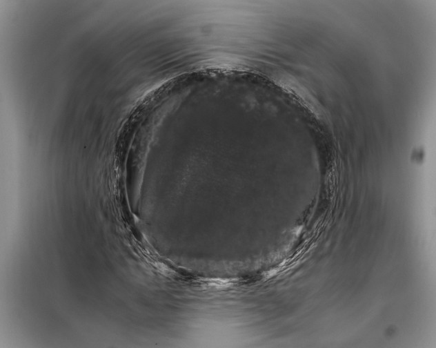 X0000097970822200804071056