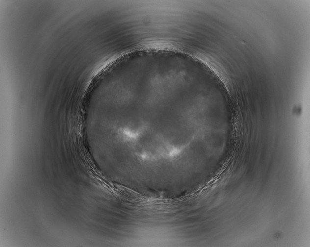 X0000097970823200804071056