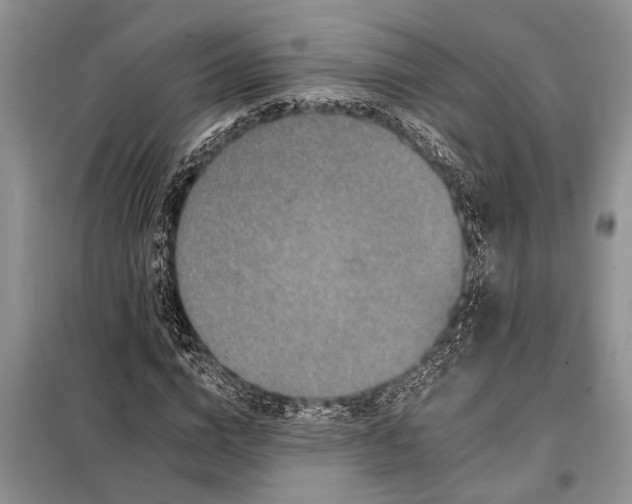 X0000097970824200804071056