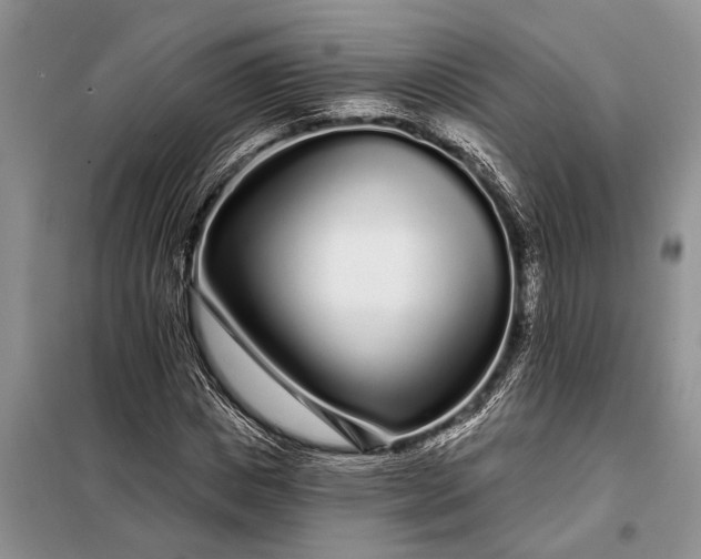 X0000097970825200804071056