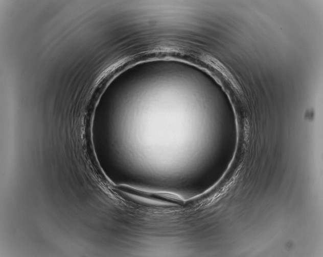 X0000097970826200804071056