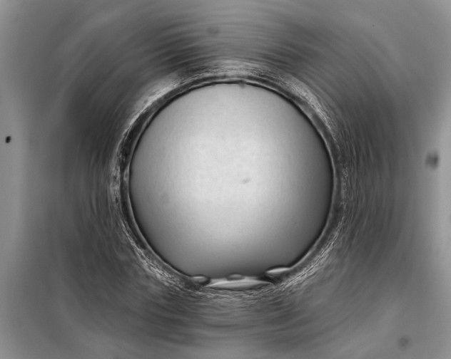 X0000097970827200804071056