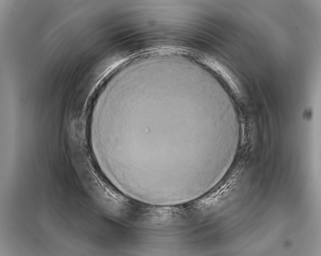 X0000097970828200804071056